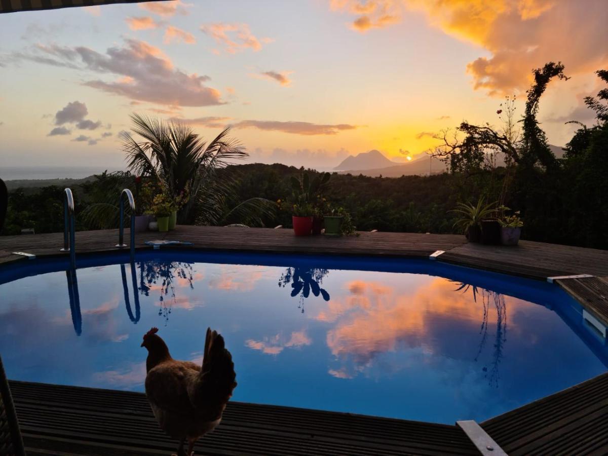 Chambre Chez L'Habitant Avec Piscine Privative Et Vue Panoramique Sur La Mer Des Caraibes Desmarinieres エクステリア 写真